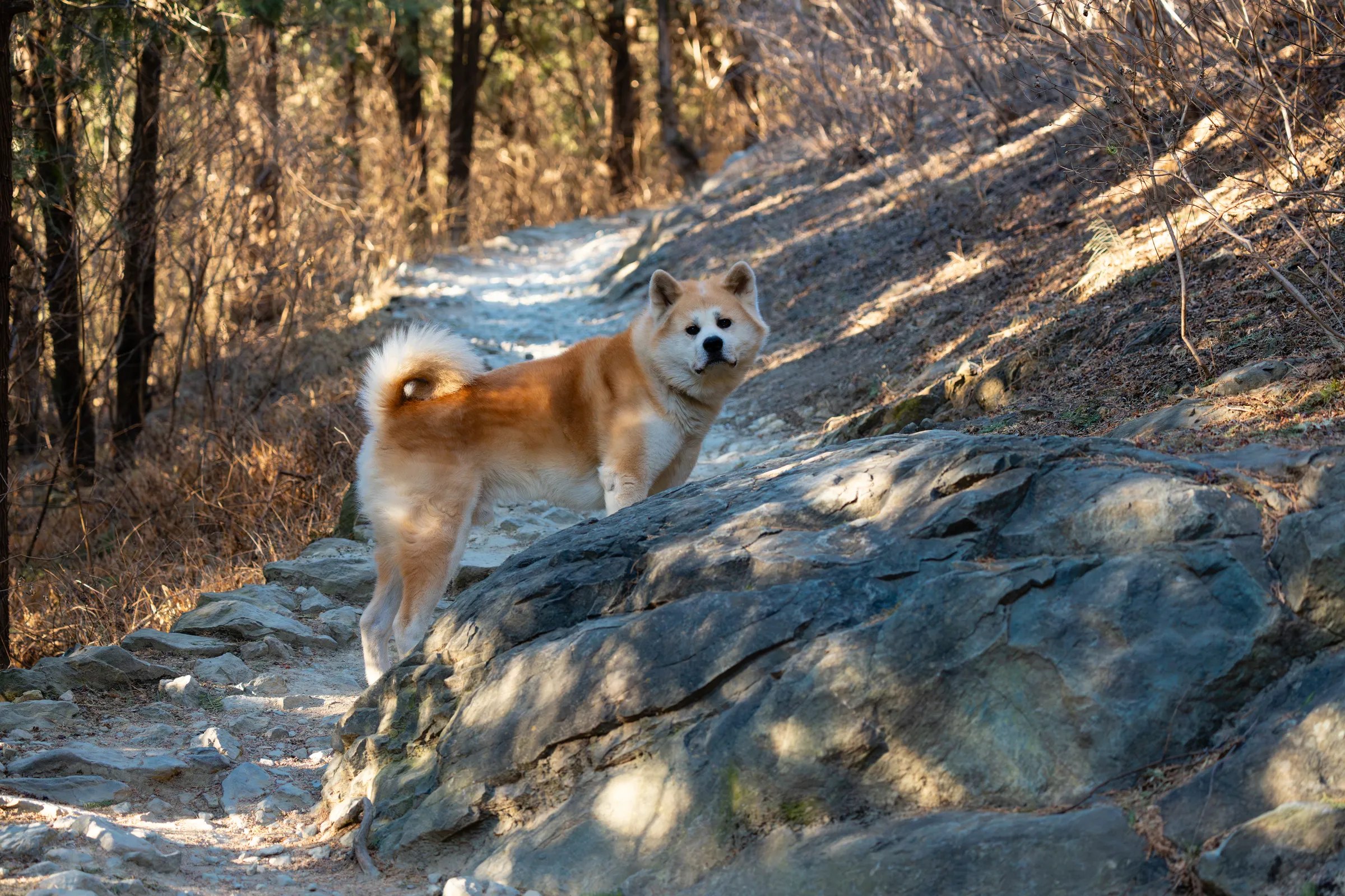 2025年最后一天的香山徒步
