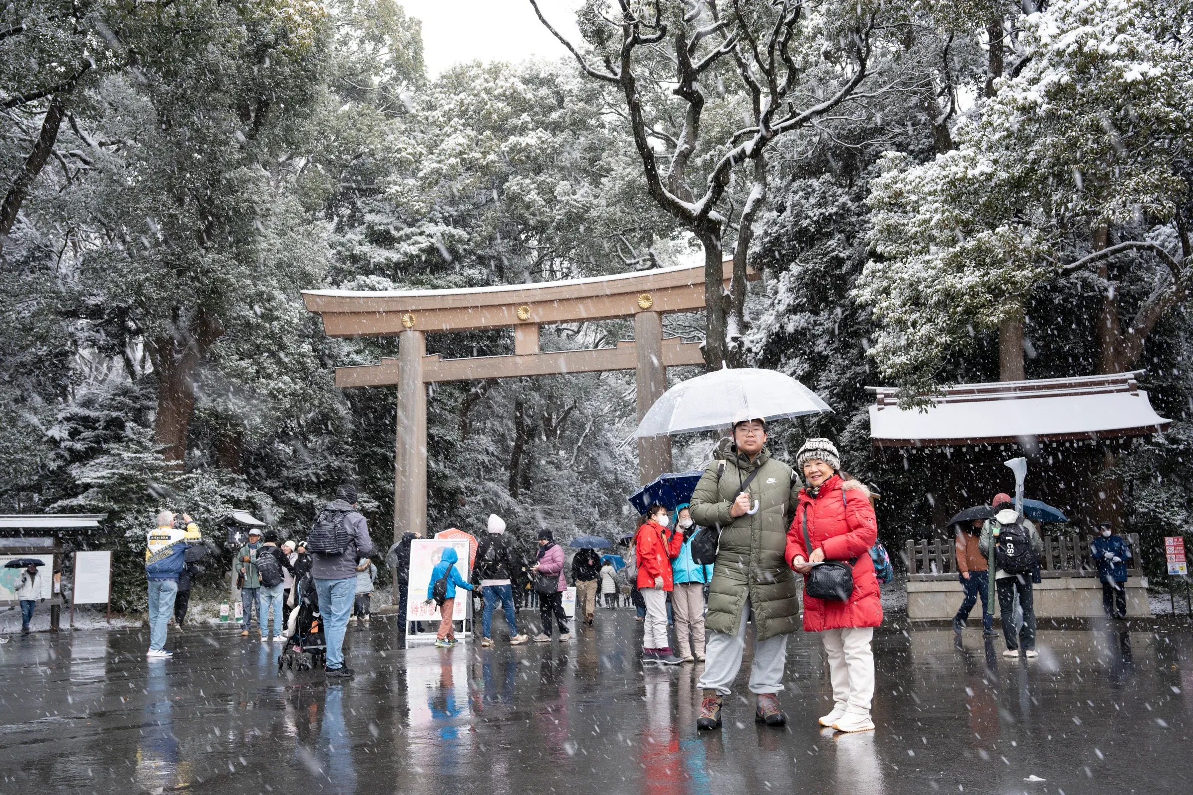 明治神宫入口的鸟居，雪中格外庄严