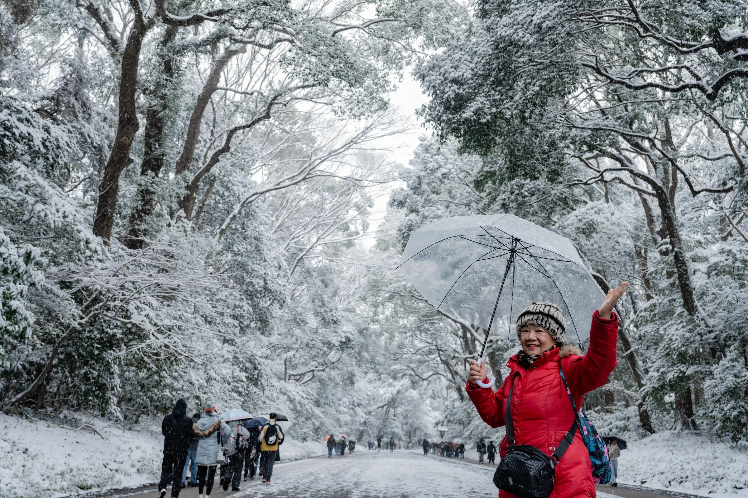 走在雪中的参道上，每一步都踩出声响