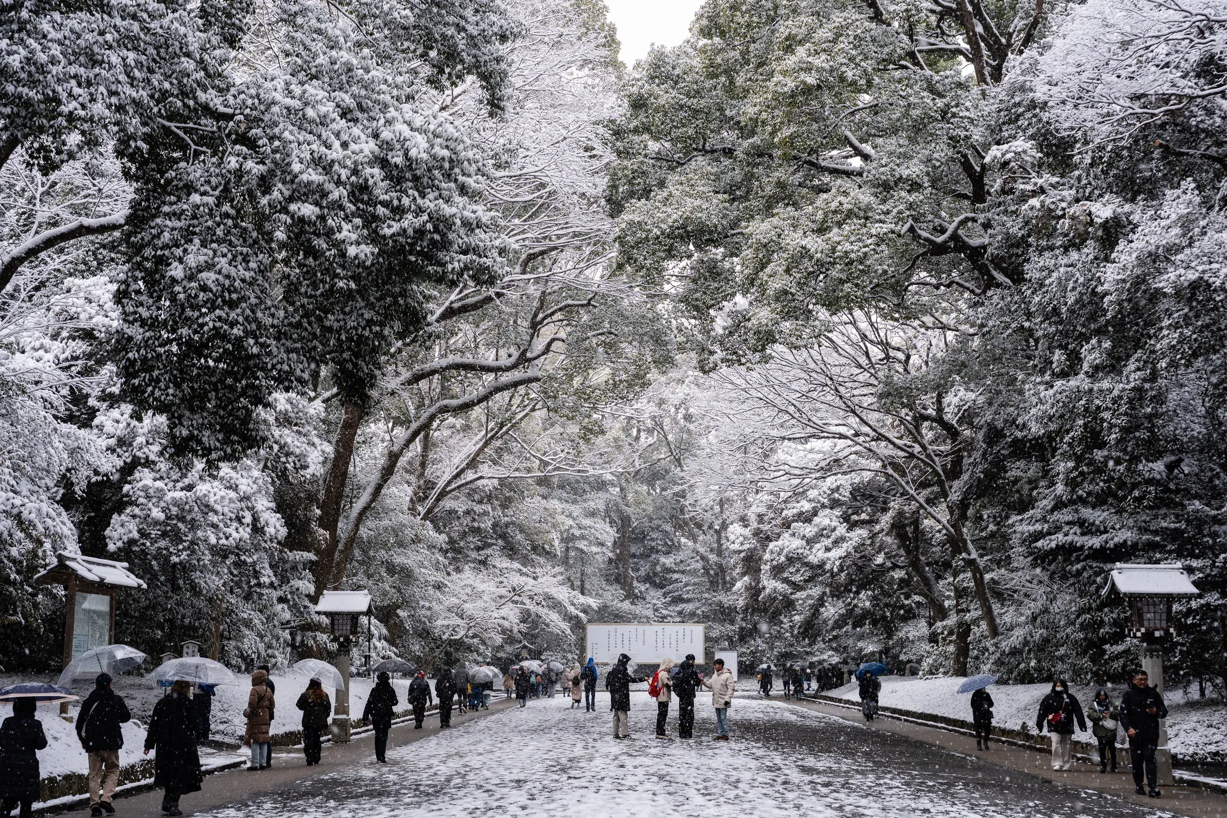 正殿前，撑伞的人们在雪中缓缓而行