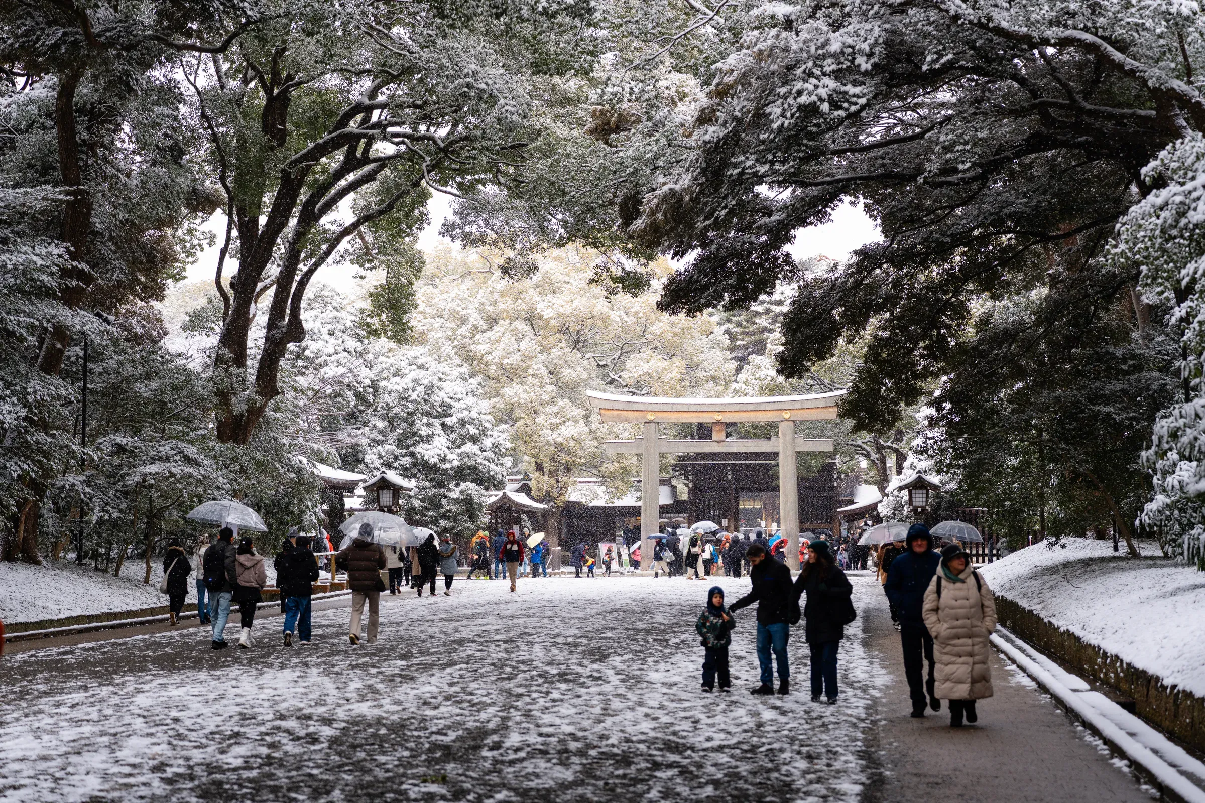往回走的参道，树枝上的积雪快要碰到头了