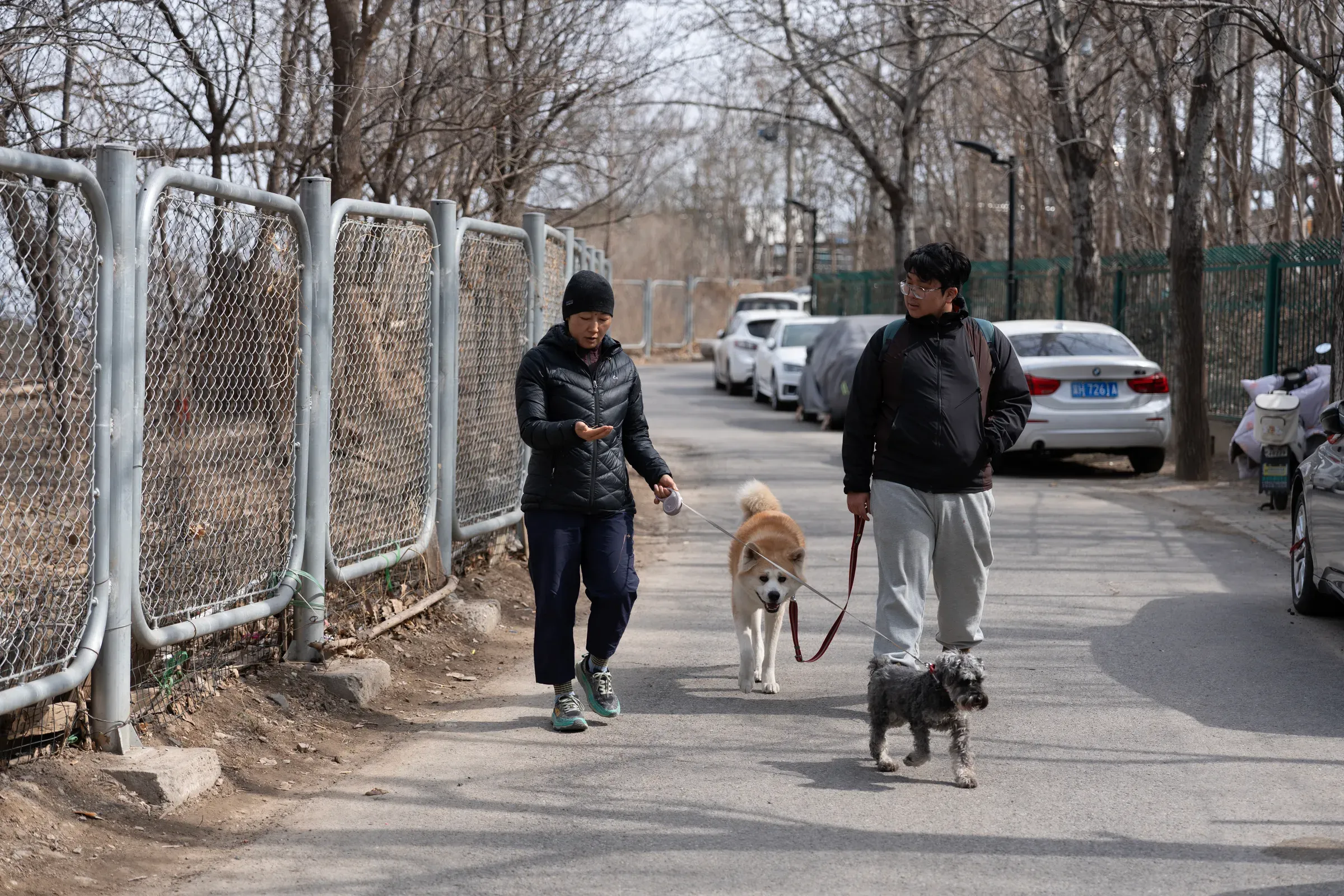 出发,两人两狗整装待发