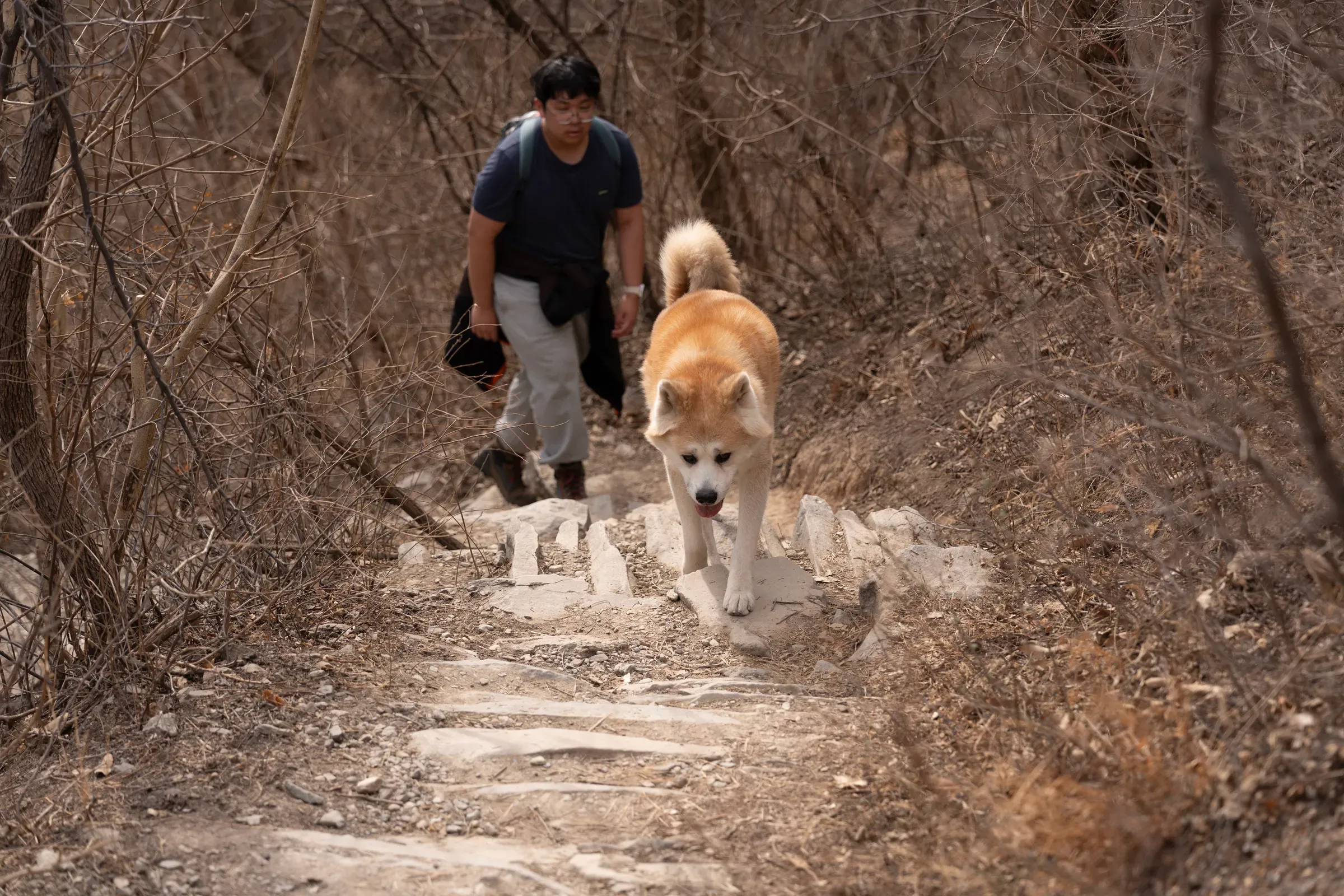 大牛领路,我紧随其后