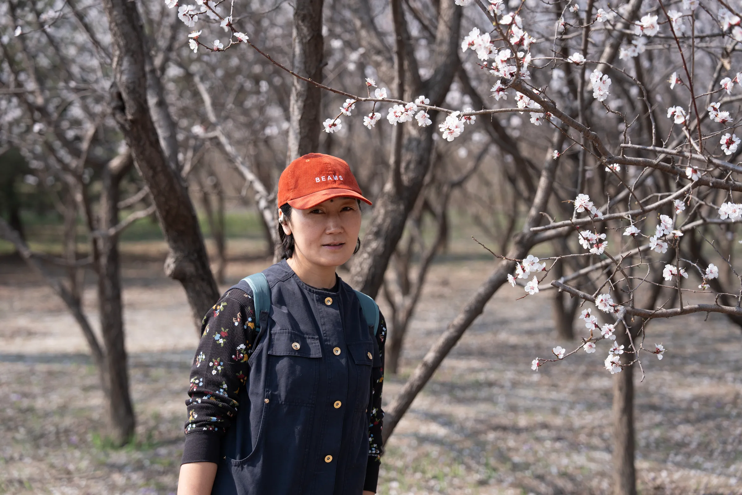 中关村公园的春日漫步